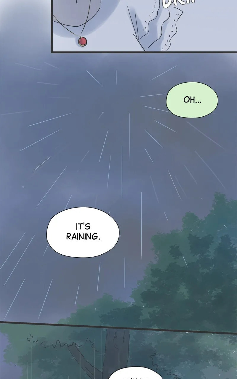 It Rains On Precious Days