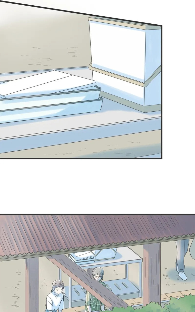 It Rains On Precious Days