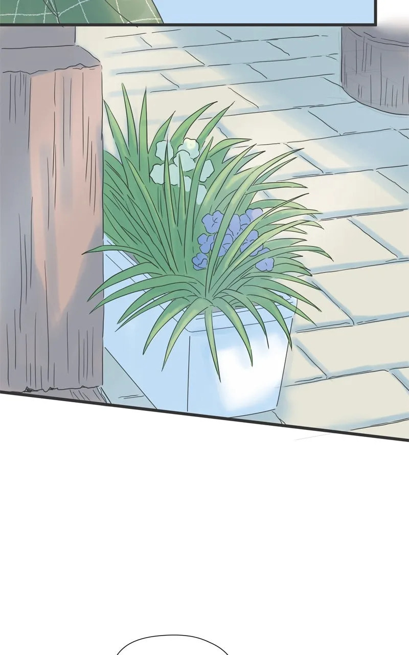 It Rains On Precious Days