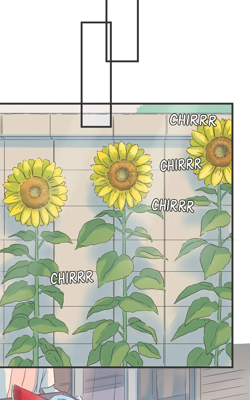 It Rains On Precious Days