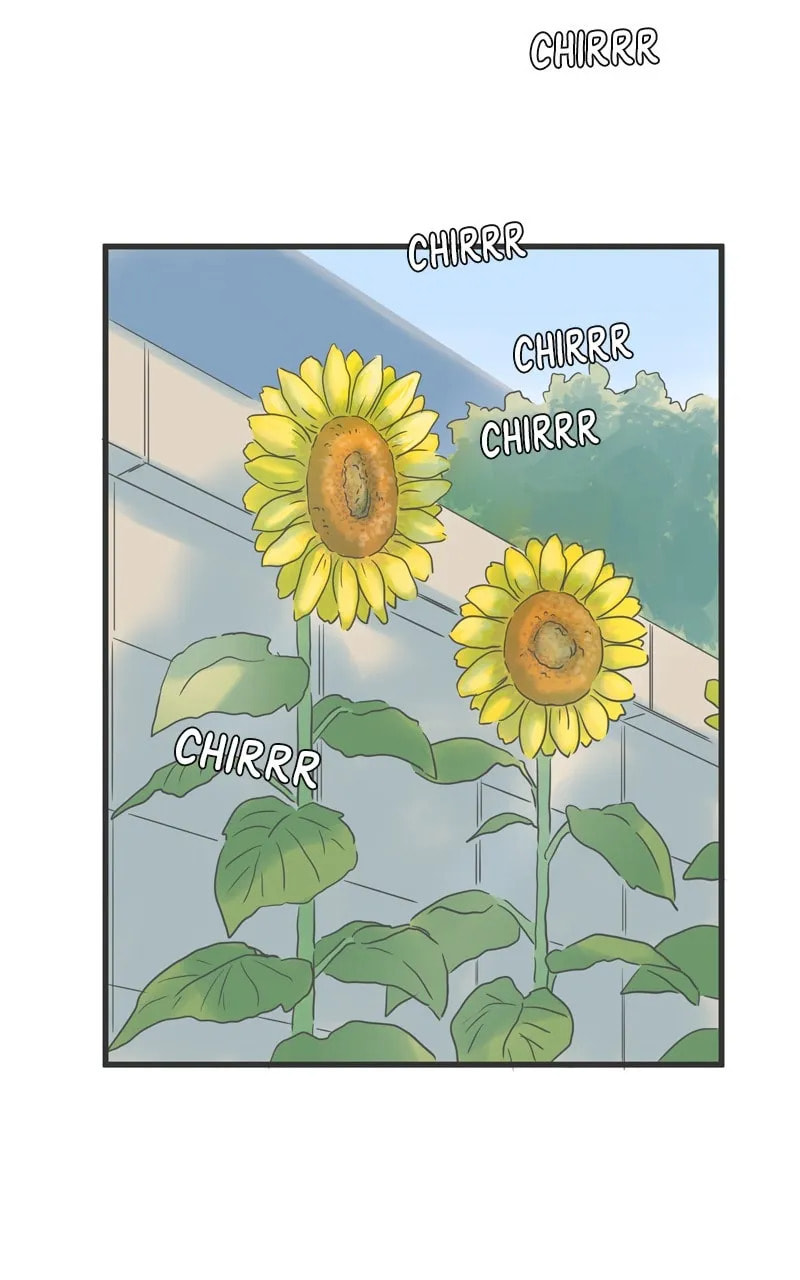 It Rains On Precious Days