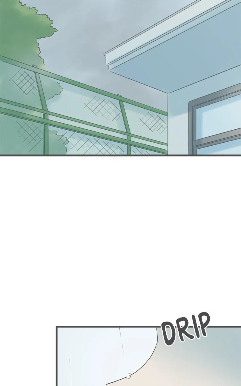 It Rains On Precious Days