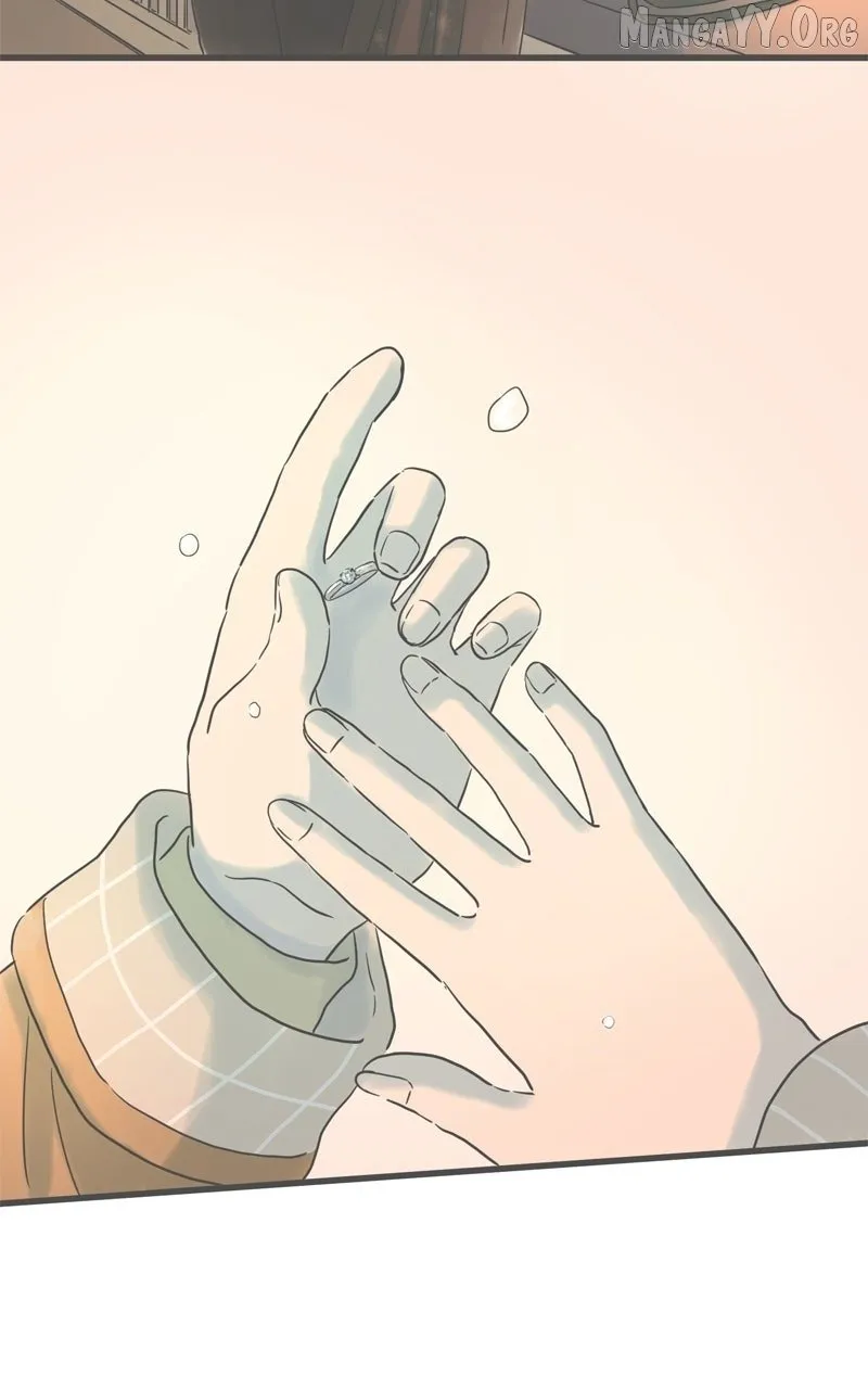 It Rains On Precious Days