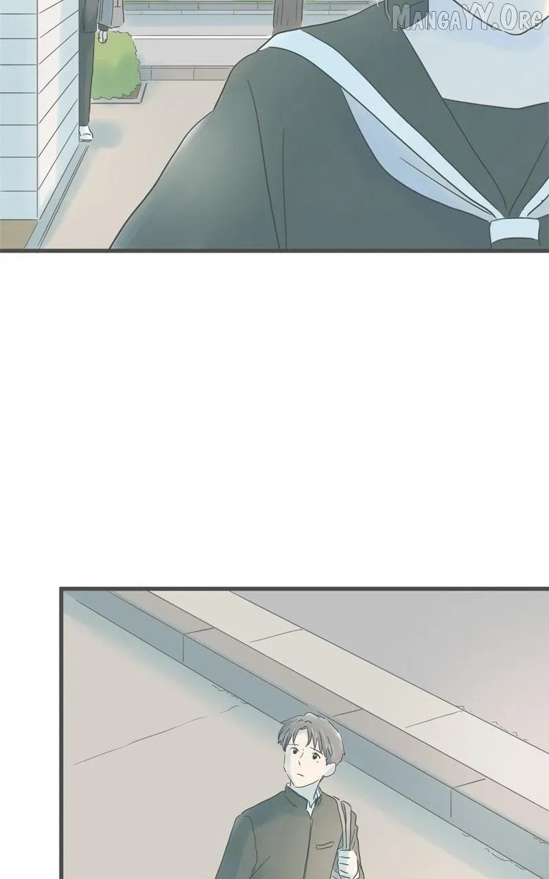 It Rains On Precious Days