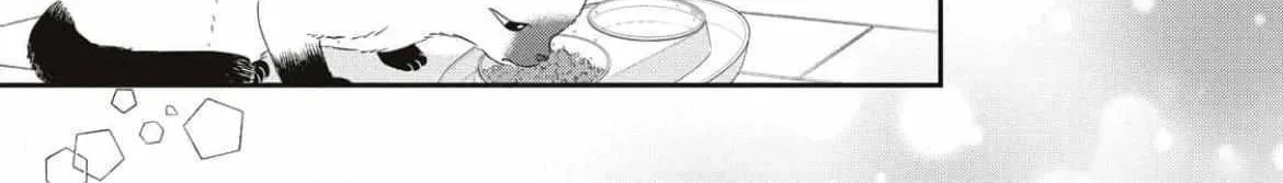 Batsuichi ga Moteru nante Kiitemasen