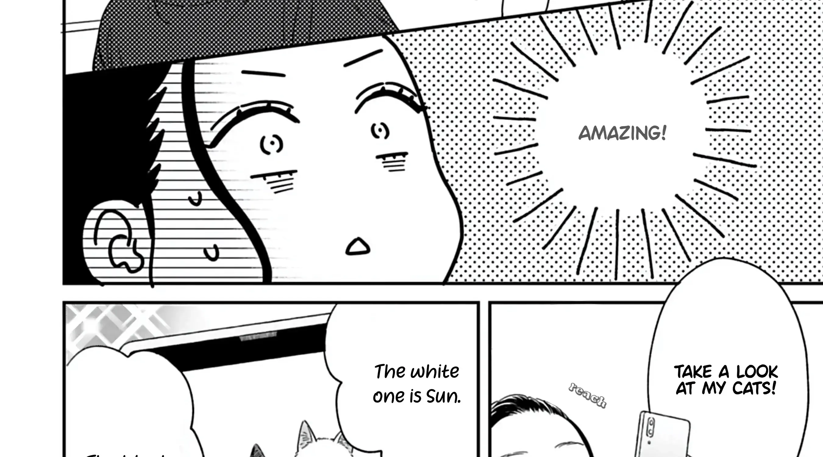 Batsuichi ga Moteru nante Kiitemasen