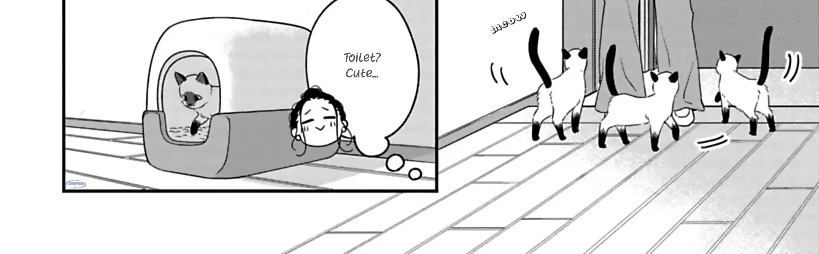 Batsuichi ga Moteru nante Kiitemasen