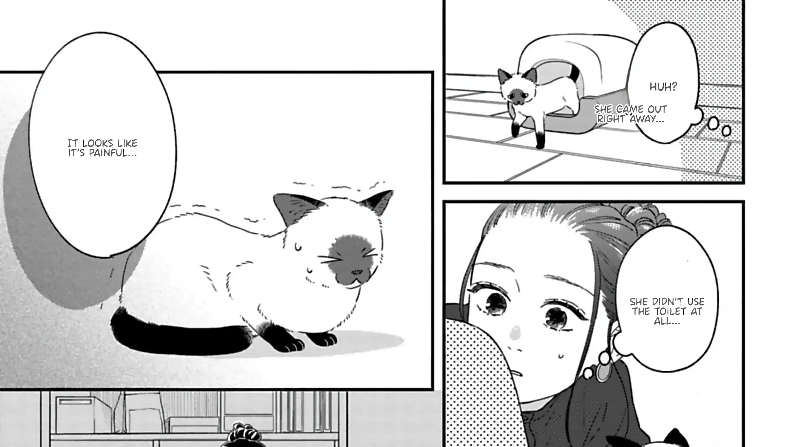 Batsuichi ga Moteru nante Kiitemasen