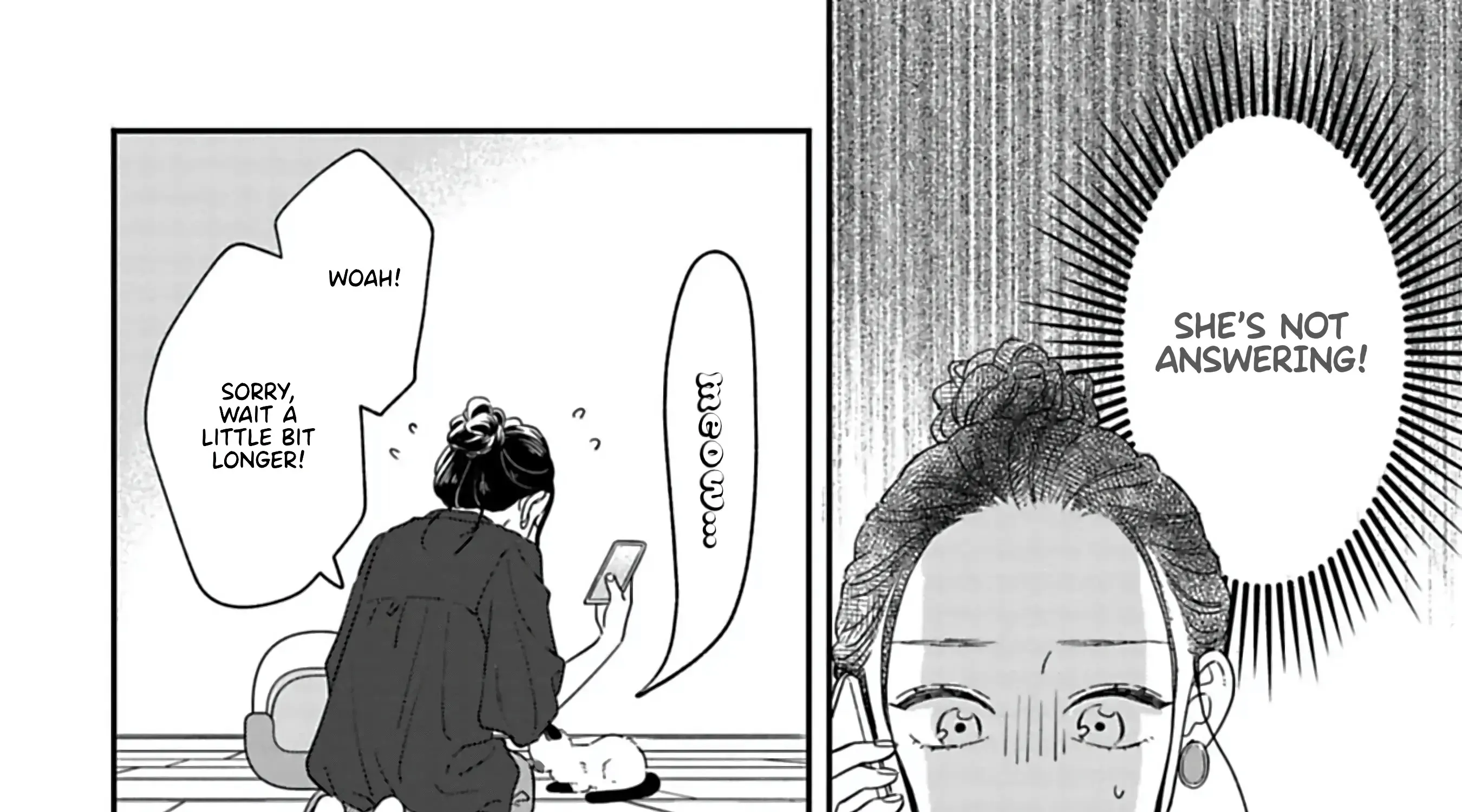 Batsuichi ga Moteru nante Kiitemasen