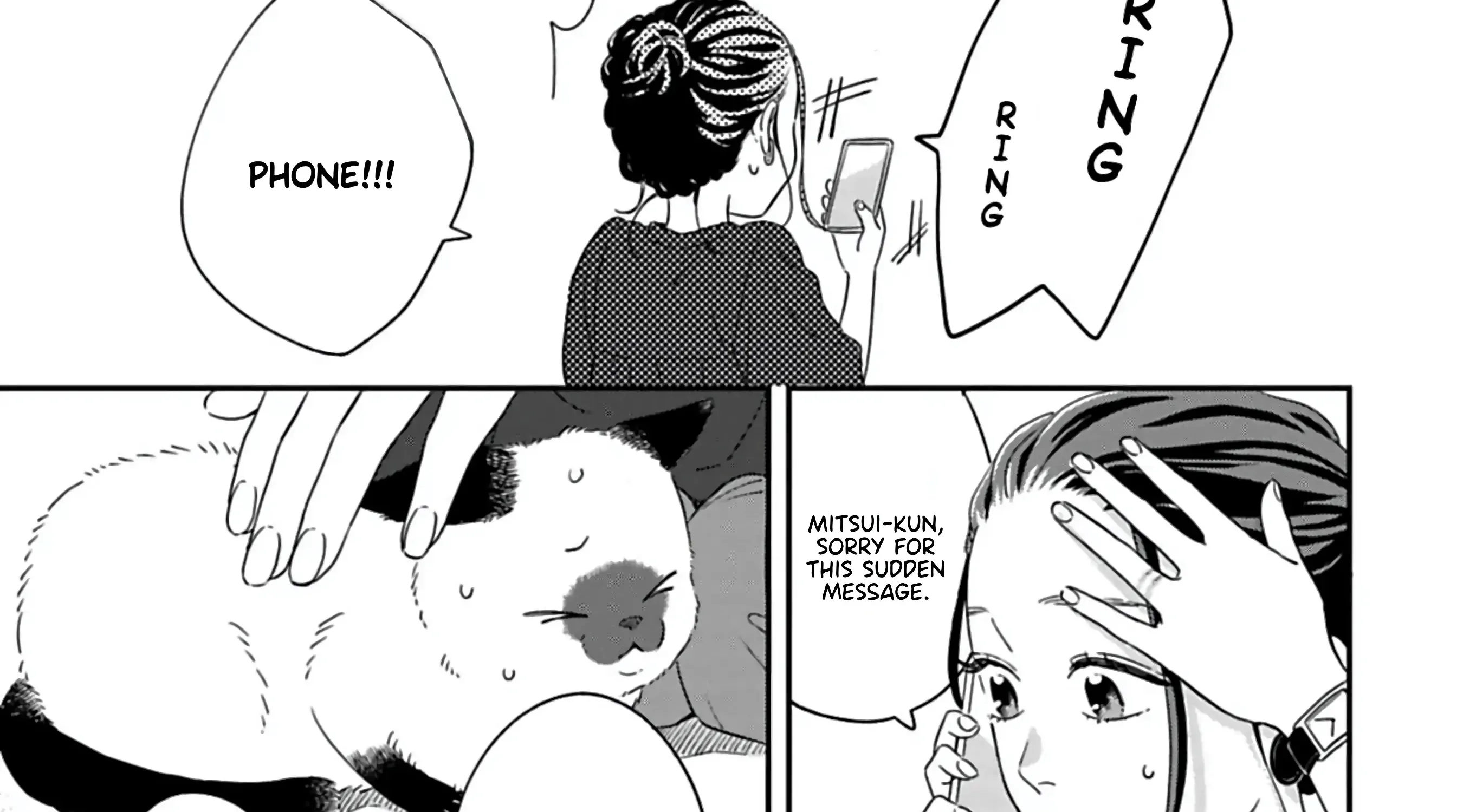 Batsuichi ga Moteru nante Kiitemasen