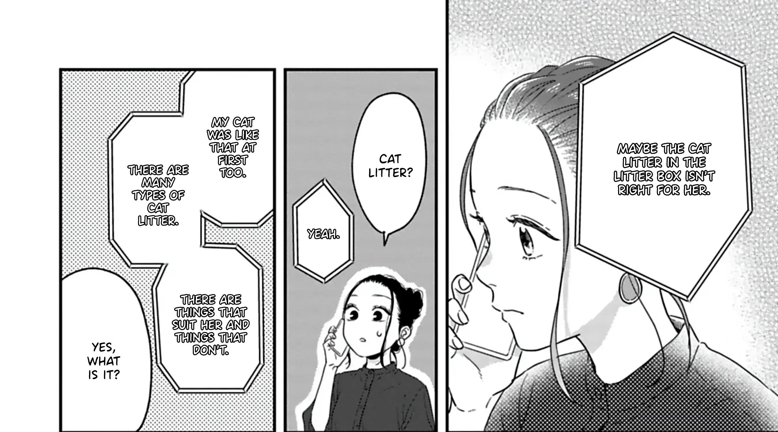 Batsuichi ga Moteru nante Kiitemasen