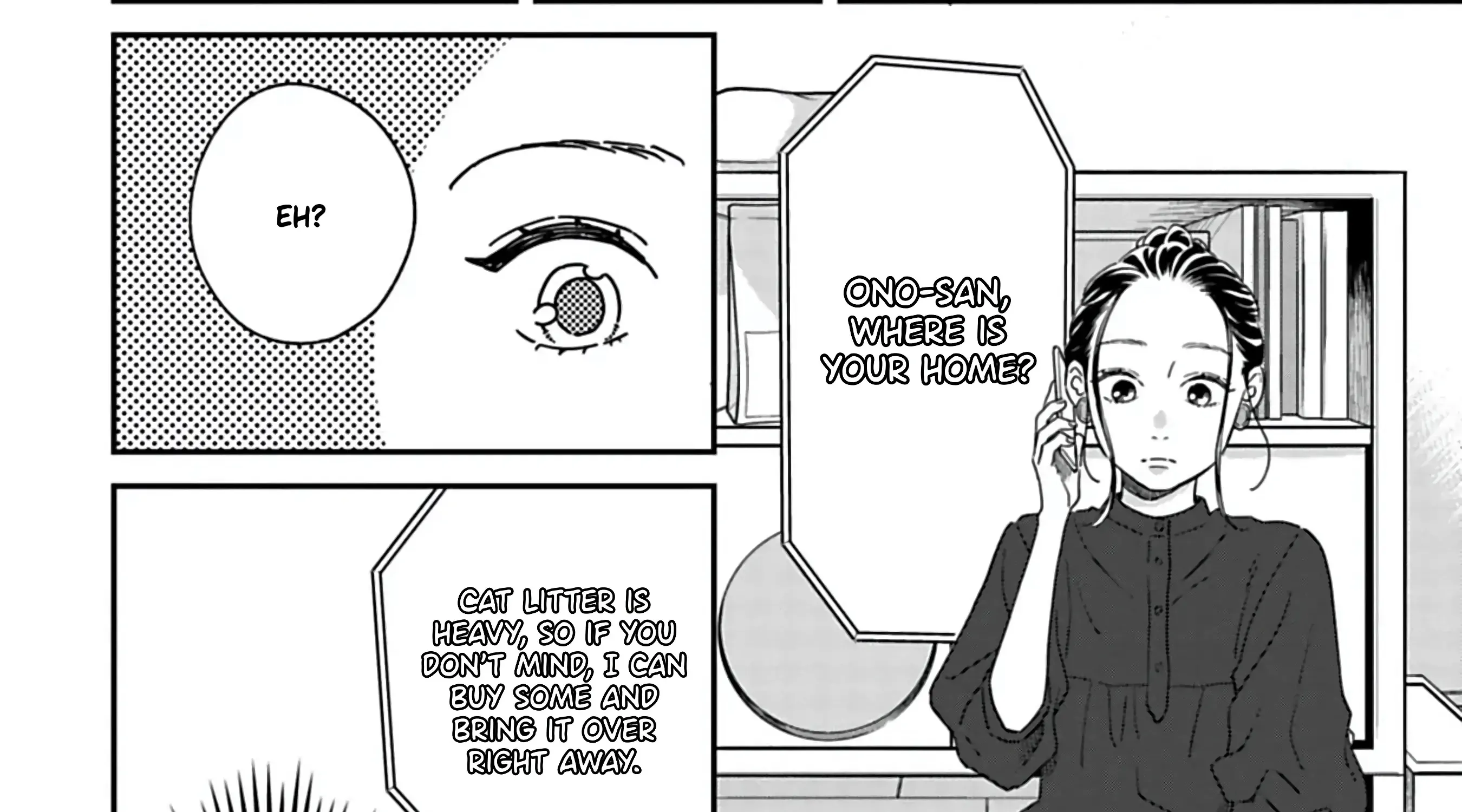 Batsuichi ga Moteru nante Kiitemasen