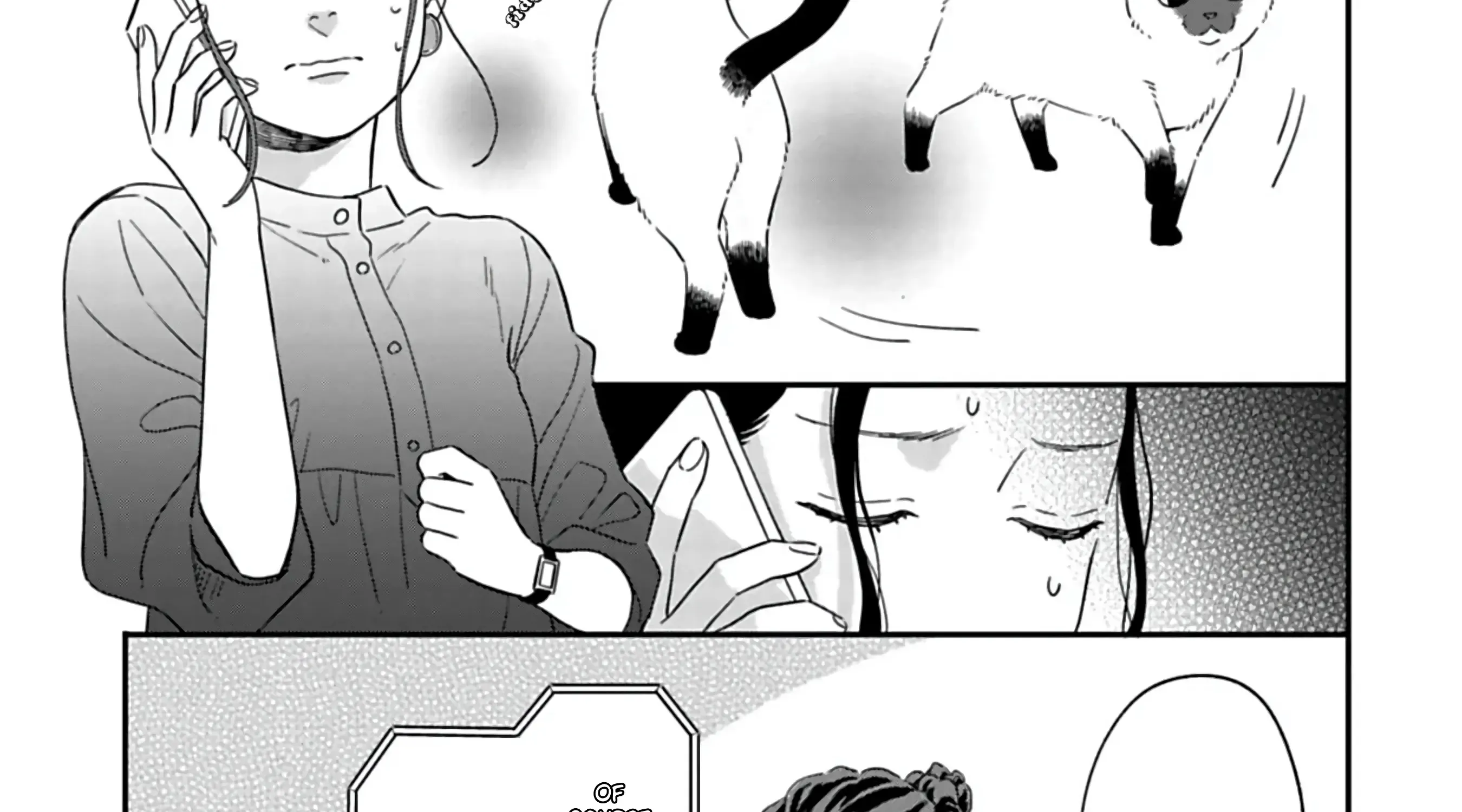 Batsuichi ga Moteru nante Kiitemasen
