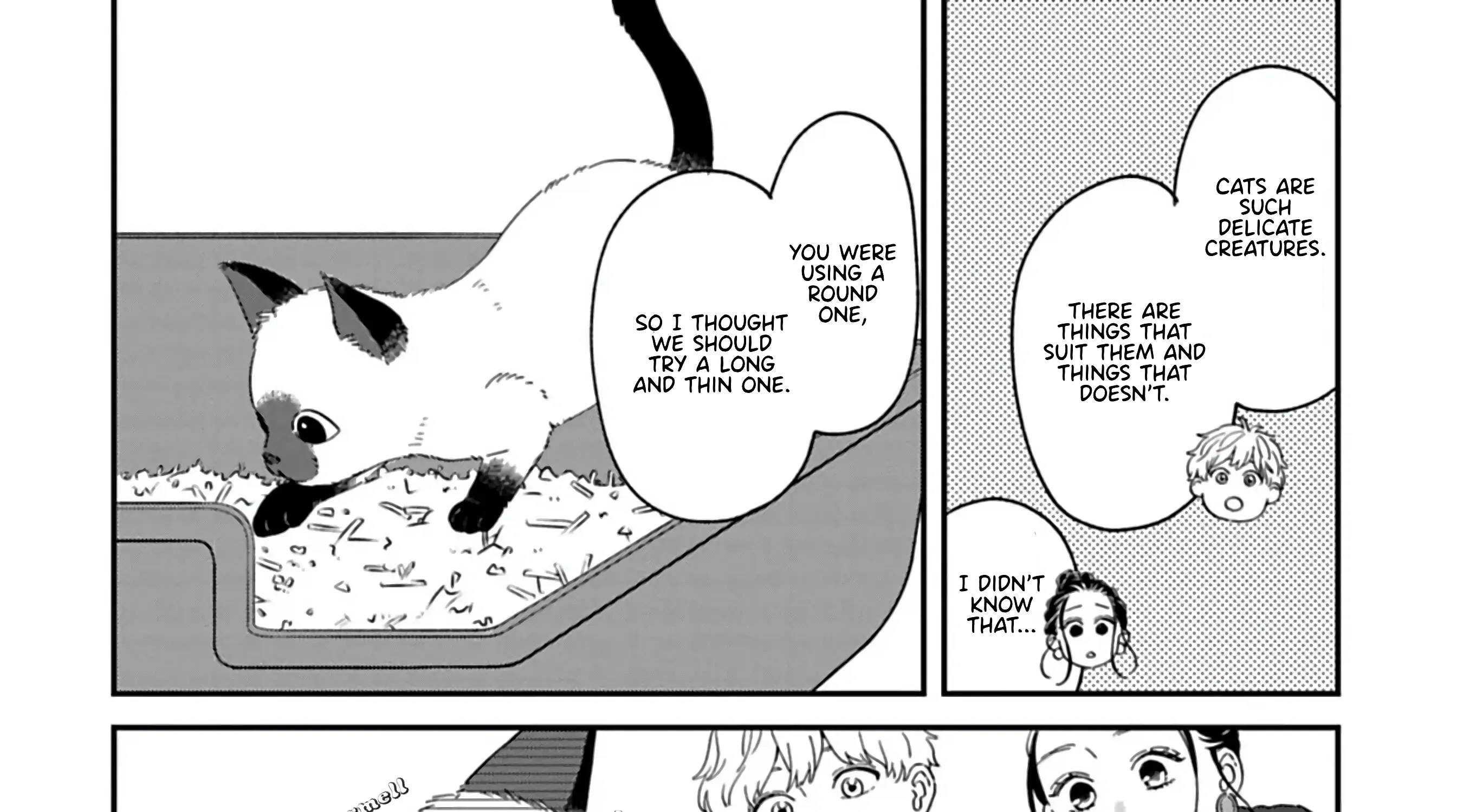 Batsuichi ga Moteru nante Kiitemasen