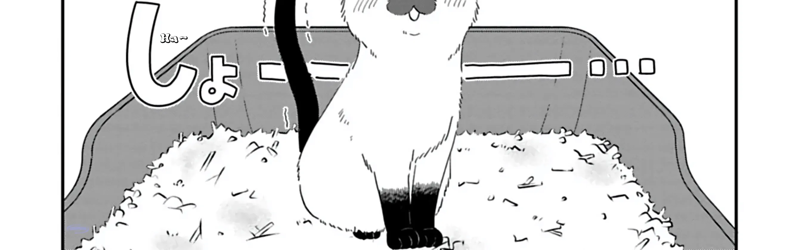 Batsuichi ga Moteru nante Kiitemasen
