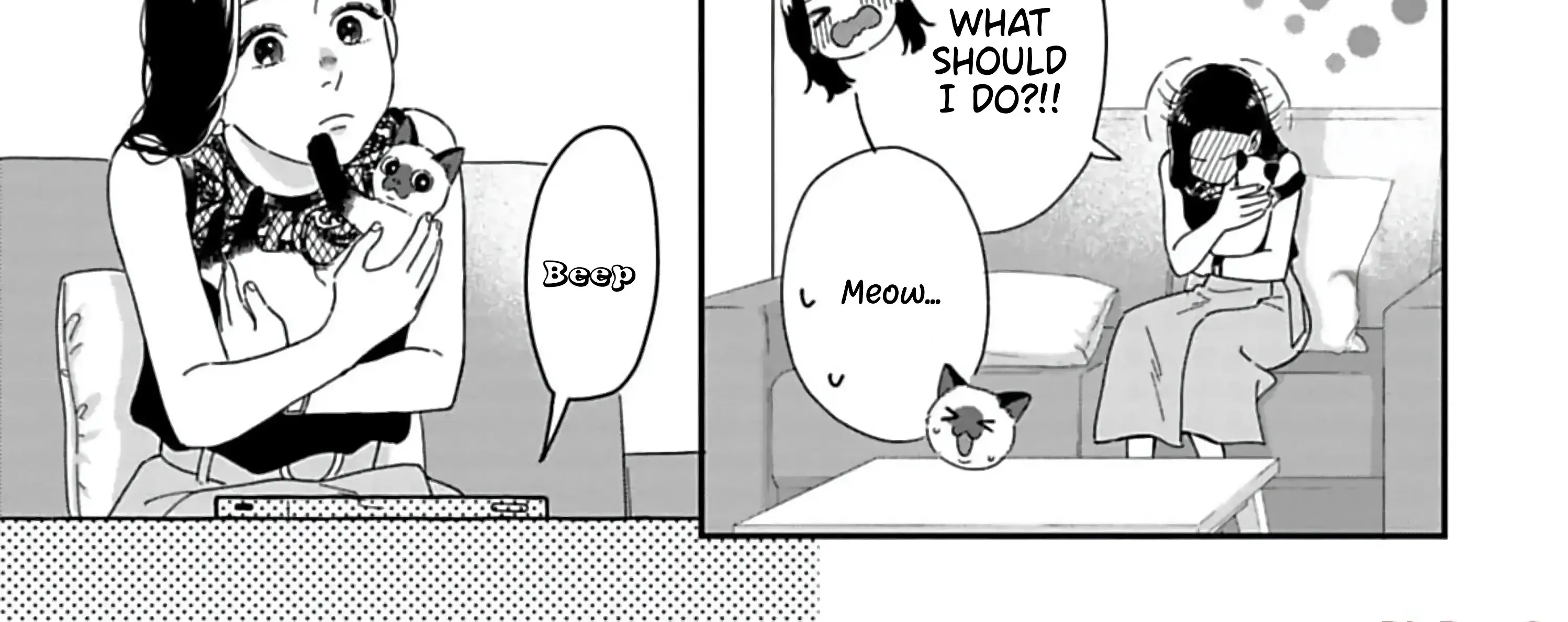 Batsuichi ga Moteru nante Kiitemasen
