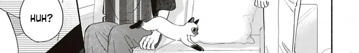 Batsuichi ga Moteru nante Kiitemasen
