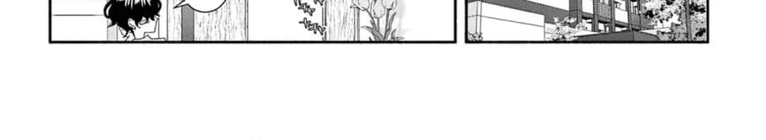 Love Falls from the Sky