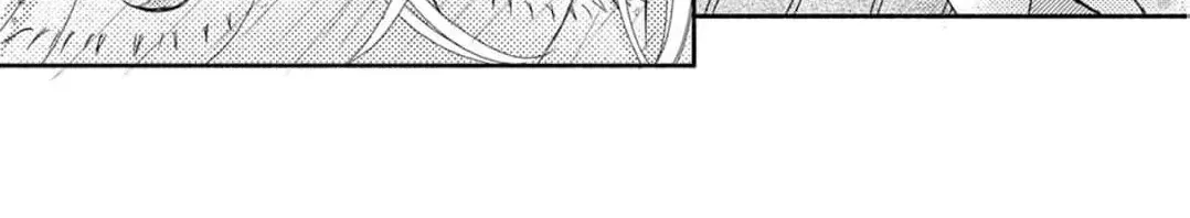 Love Falls from the Sky