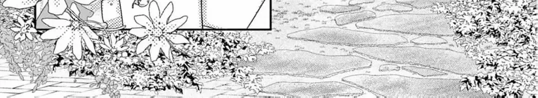 Love Falls from the Sky