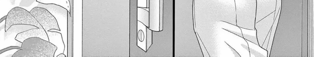 Love Falls from the Sky