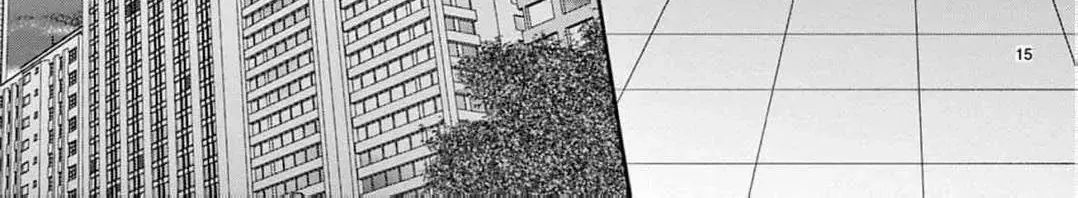 Love Falls from the Sky