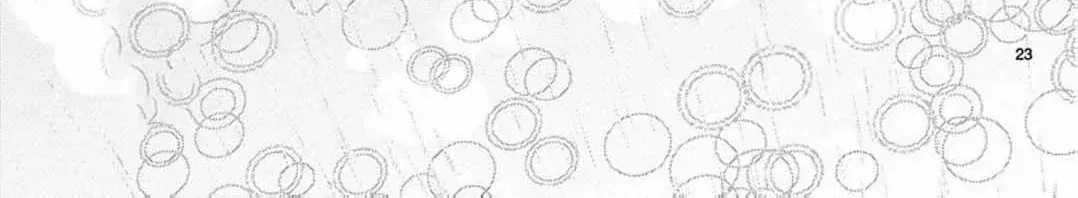 Love Falls from the Sky