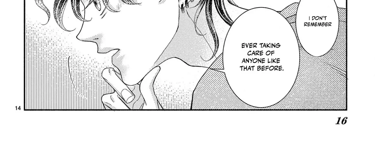 Love Falls from the Sky