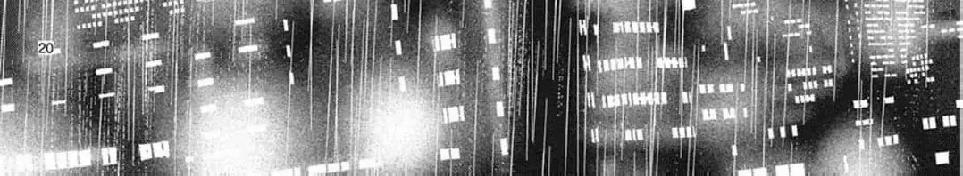 Love Falls from the Sky