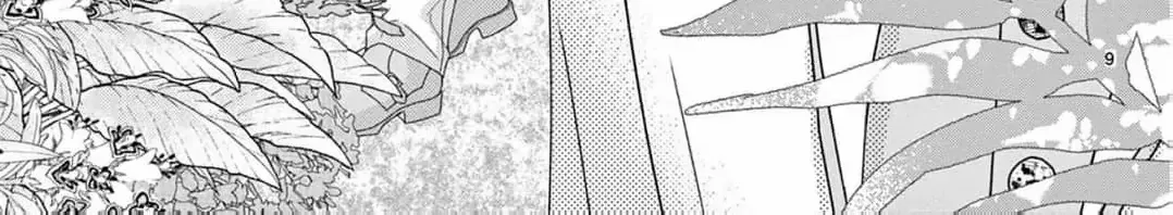 Love Falls from the Sky