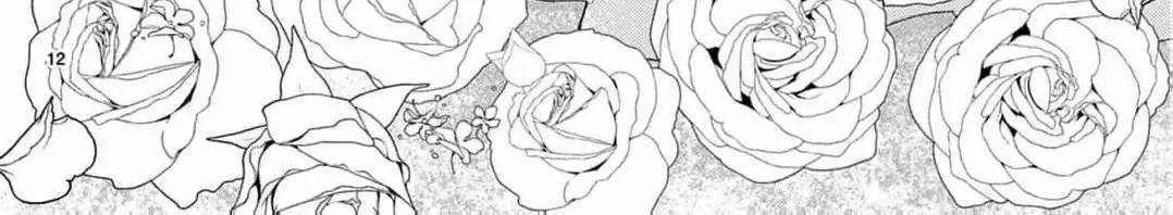 Love Falls from the Sky