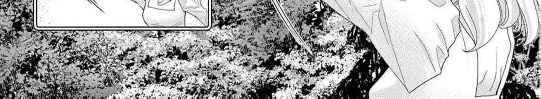 Love Falls from the Sky