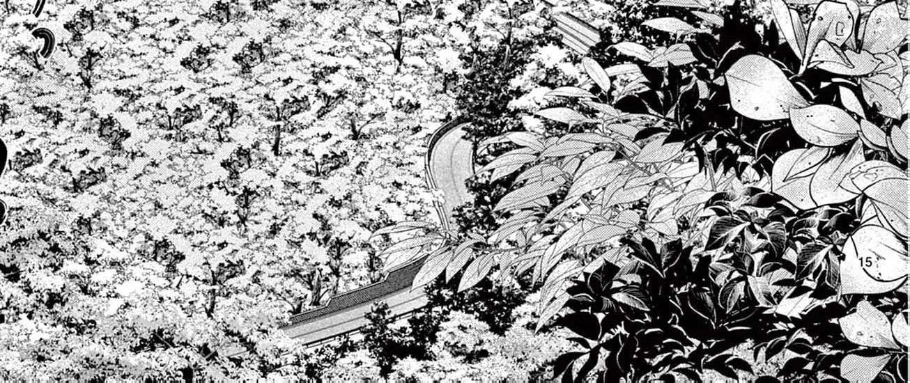 Love Falls from the Sky