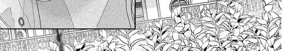 Love Falls from the Sky