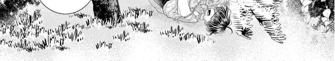 Love Falls from the Sky