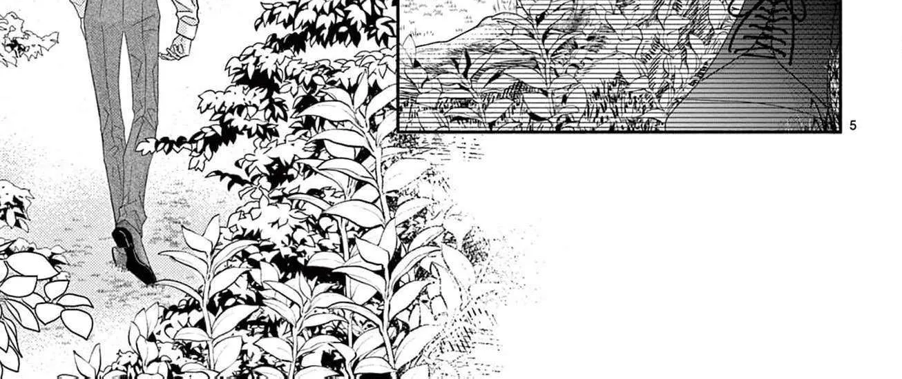 Love Falls from the Sky