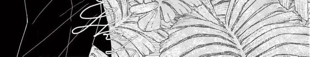 Love Falls from the Sky