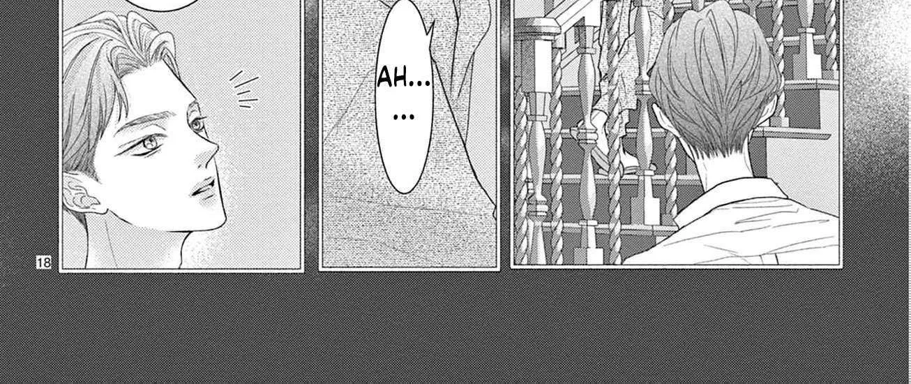 Love Falls from the Sky