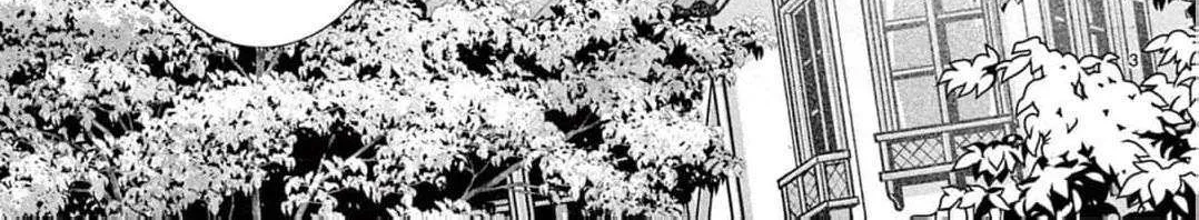 Love Falls from the Sky