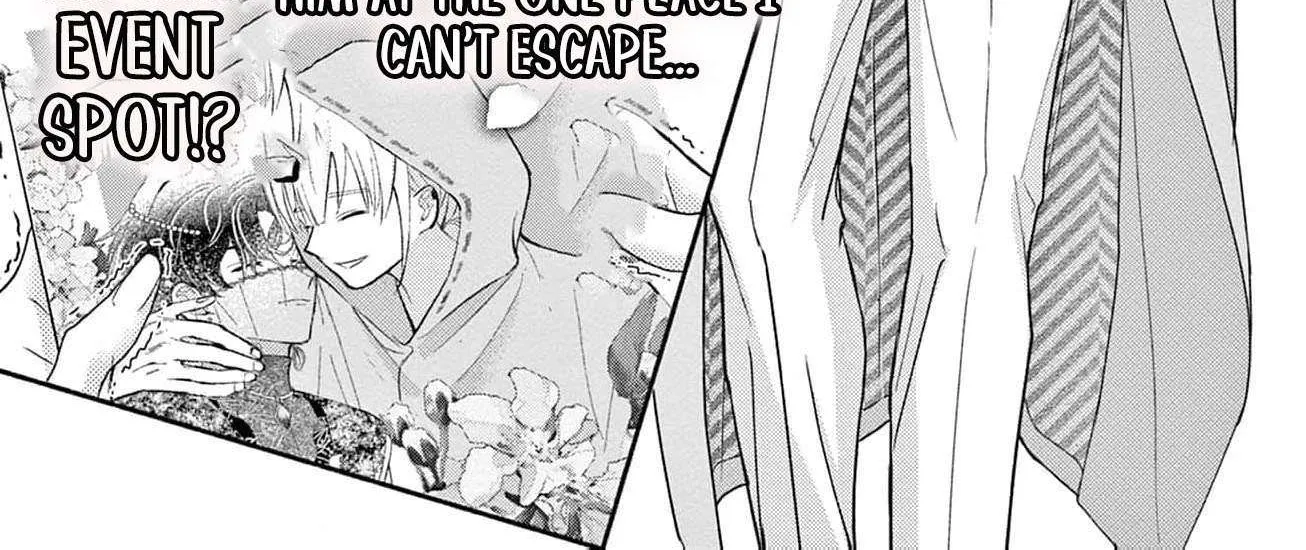 Love Falls from the Sky