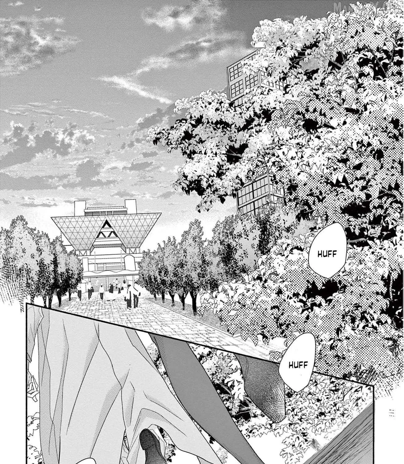 Love Falls from the Sky