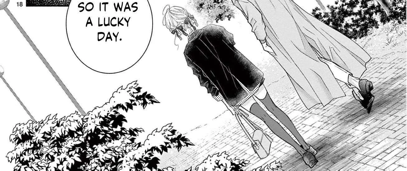 Love Falls from the Sky