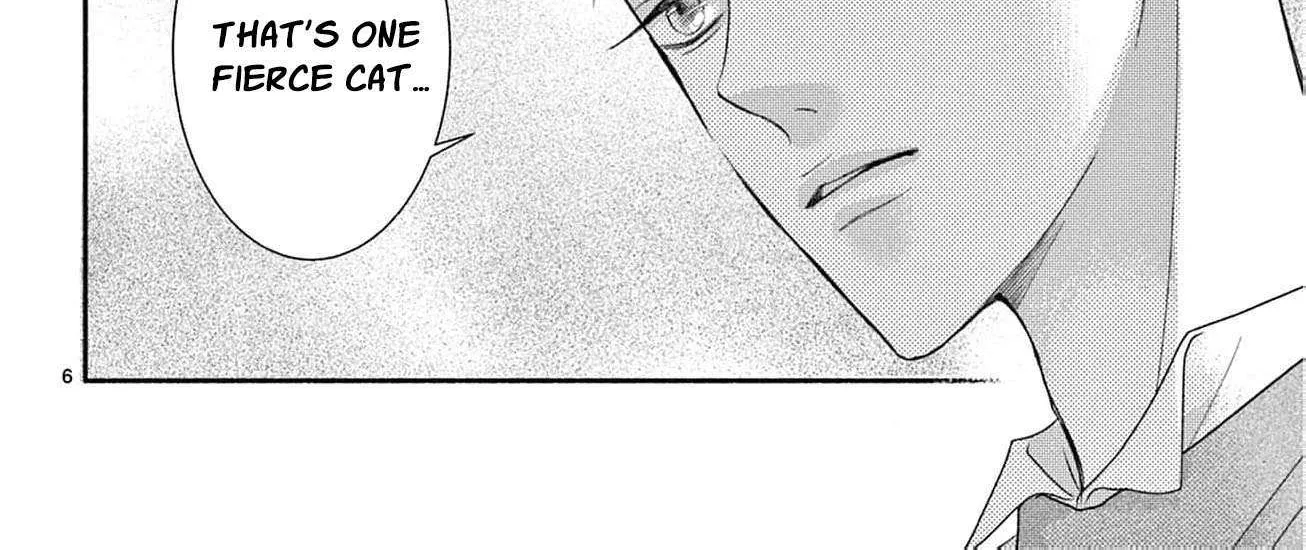 Love Falls from the Sky