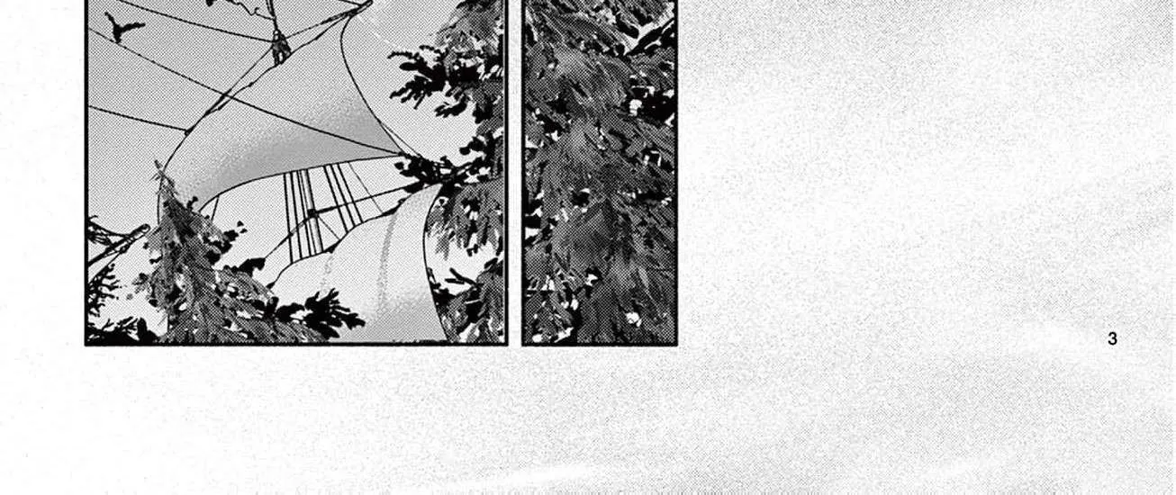 Love Falls from the Sky