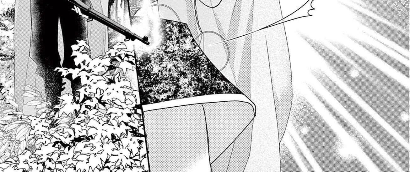 Love Falls from the Sky