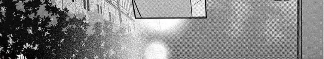 Love Falls from the Sky