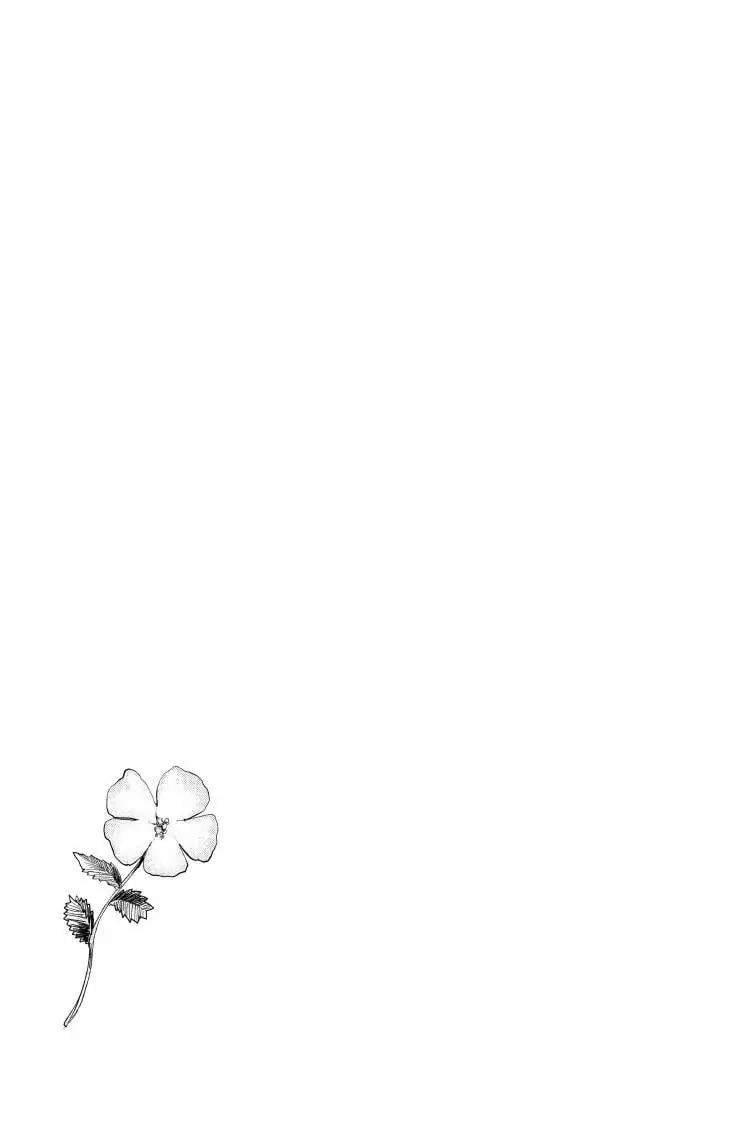 Kaguya-sama: Love is War (Colored)