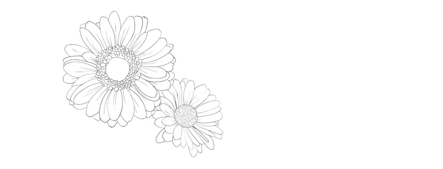 Yomei Ichinen to Senkokusareta Boku ga, Yomei Hantoshi no Kimi to Deatta Hanashi