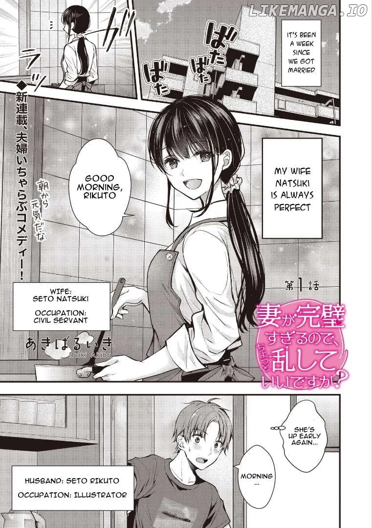 My Wife Is Too Perfect, So Can I Mess Her Up a Little?