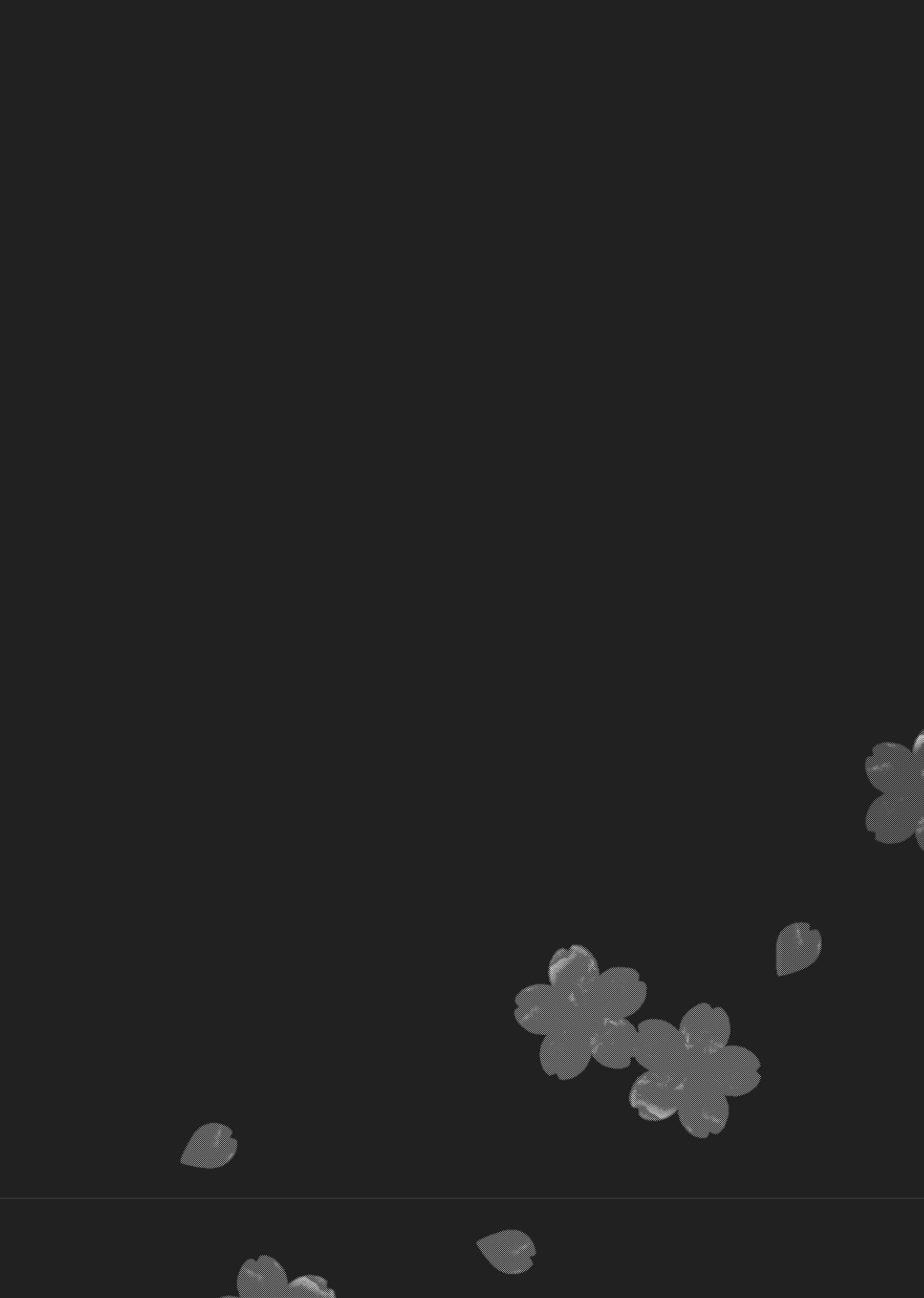 Raise Wa Tanin Ga Ii